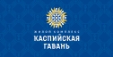 Логотип  и стиль "Каспийской Гавани"