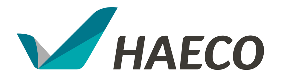 длог дизайн новый логотип logologika haeco new identity logo